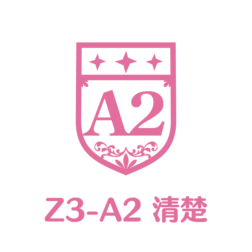 Z3-A2