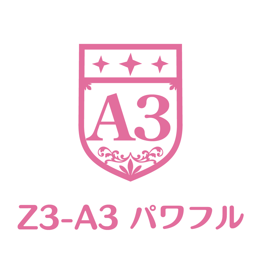 Z3-A3