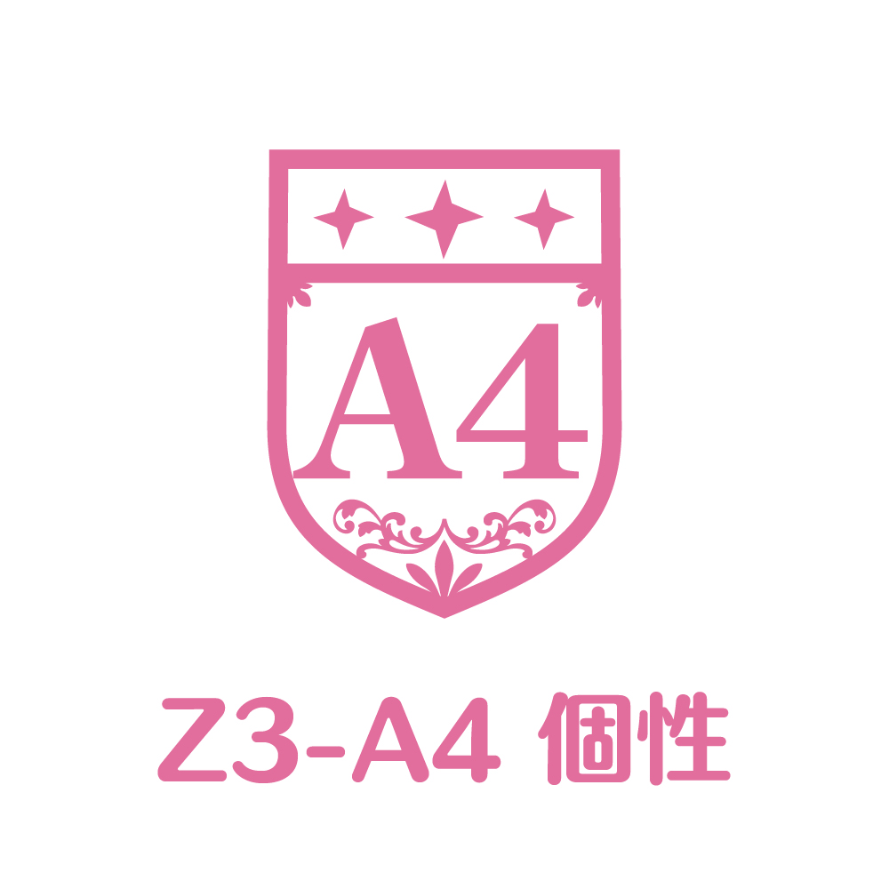 Z3-A4