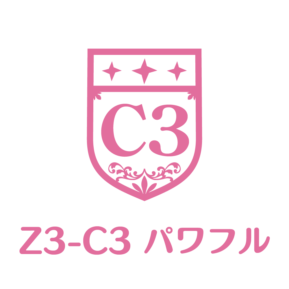 Z3-C3