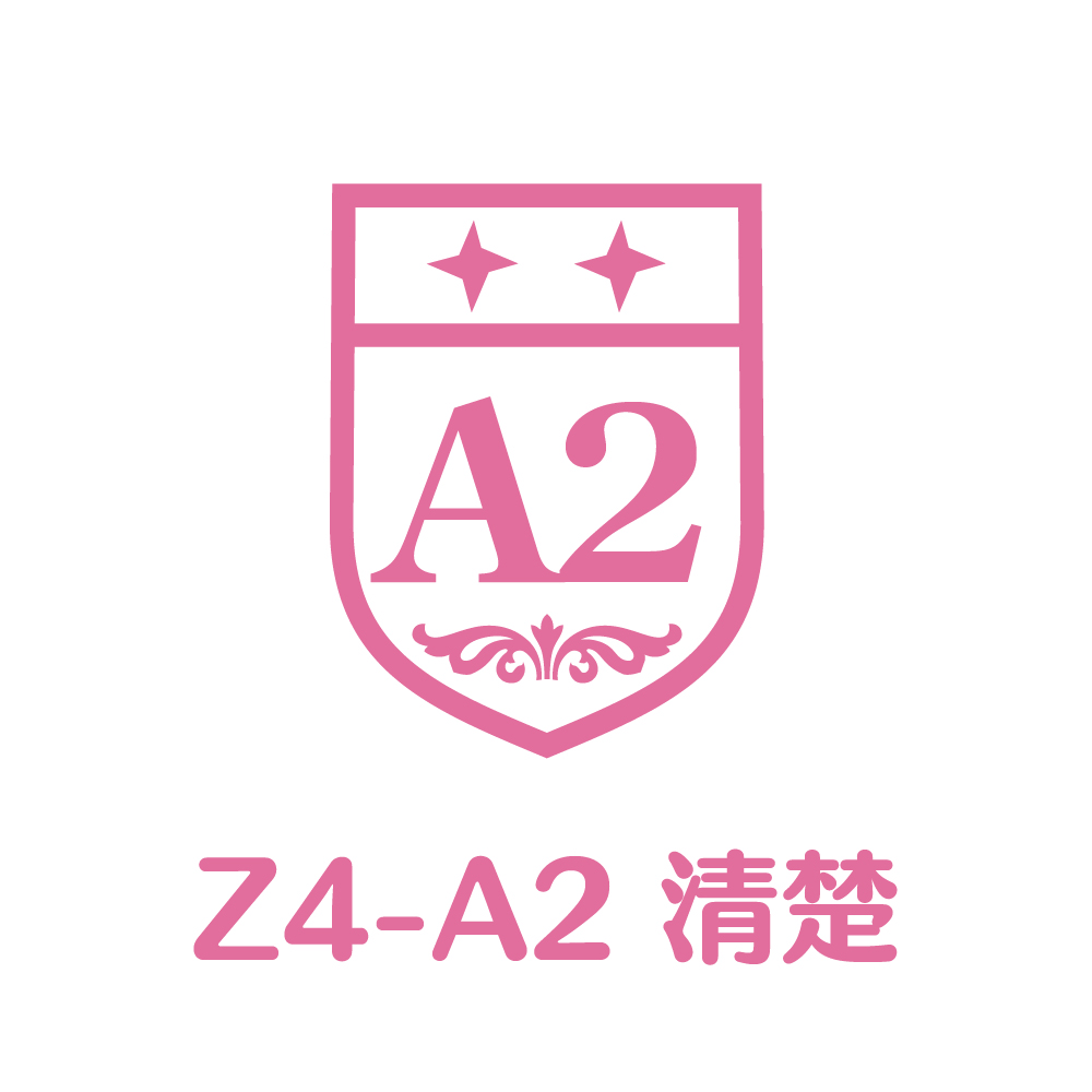 Z4-A2