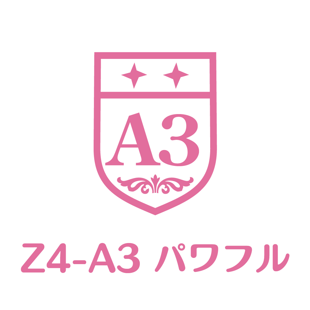 Z4-A3