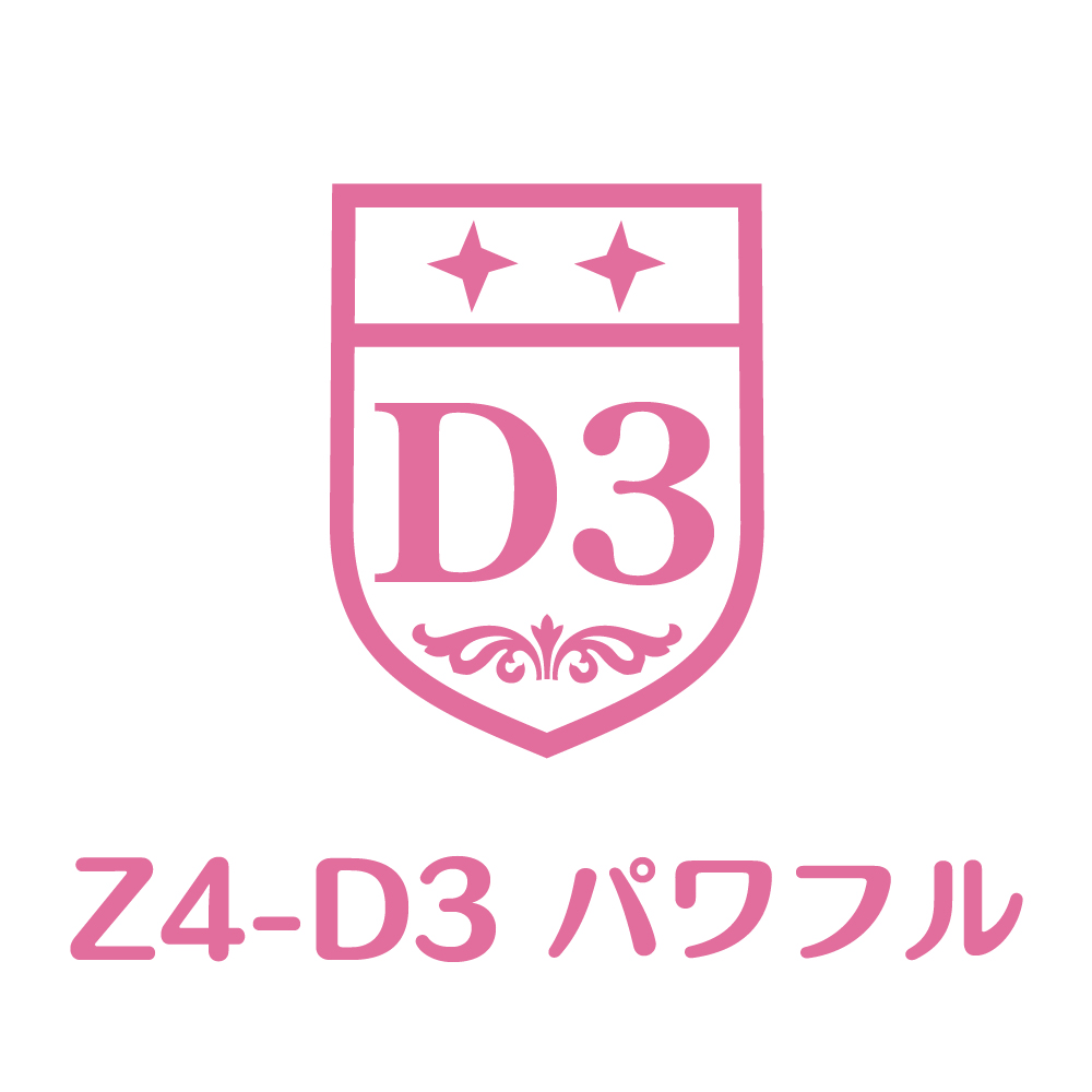 Z4-D3