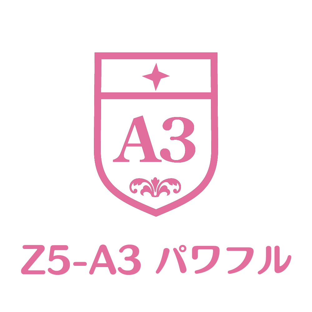 Z5-A3
