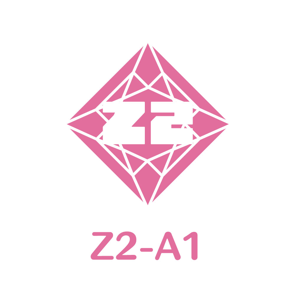Z2-A1