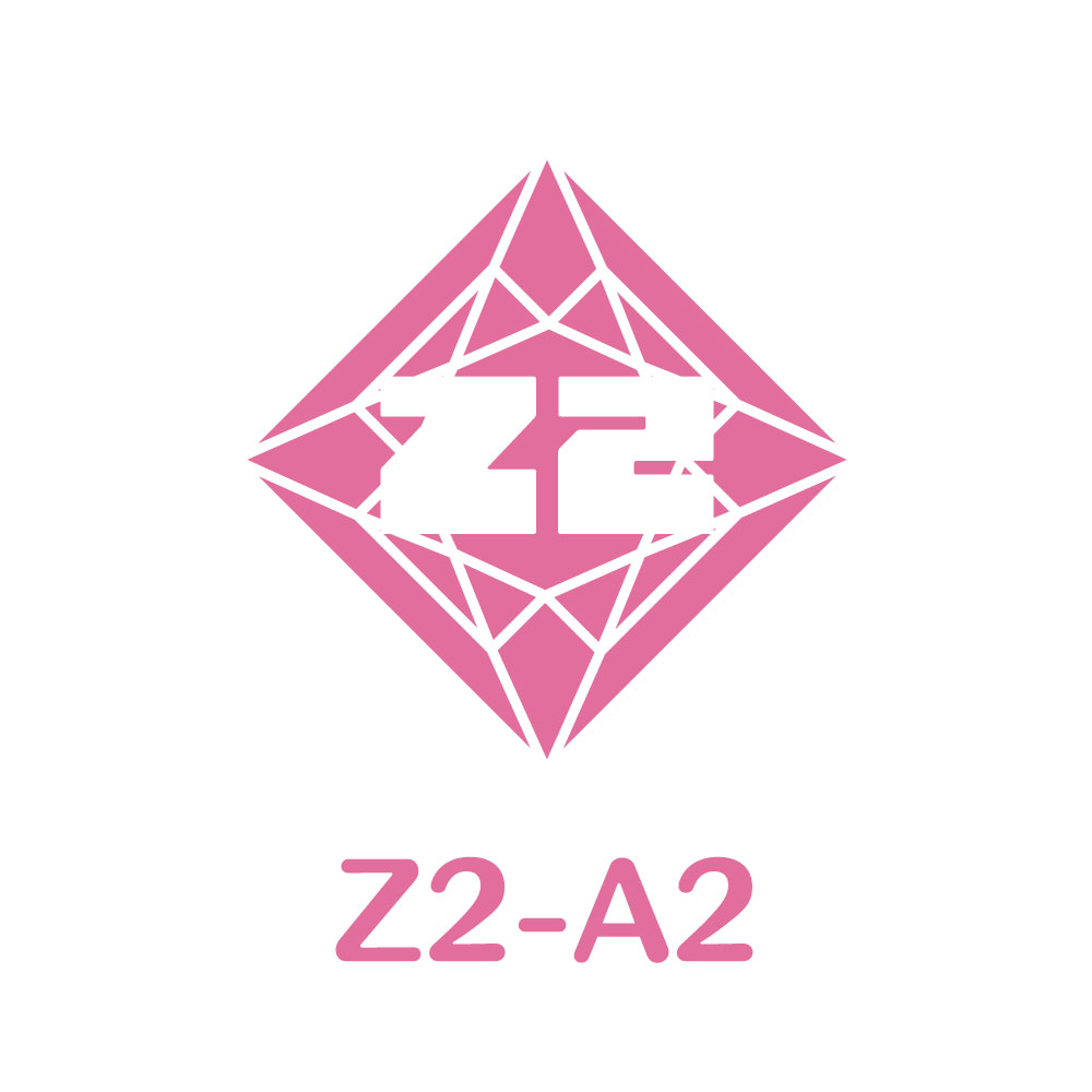 Z2-A2
