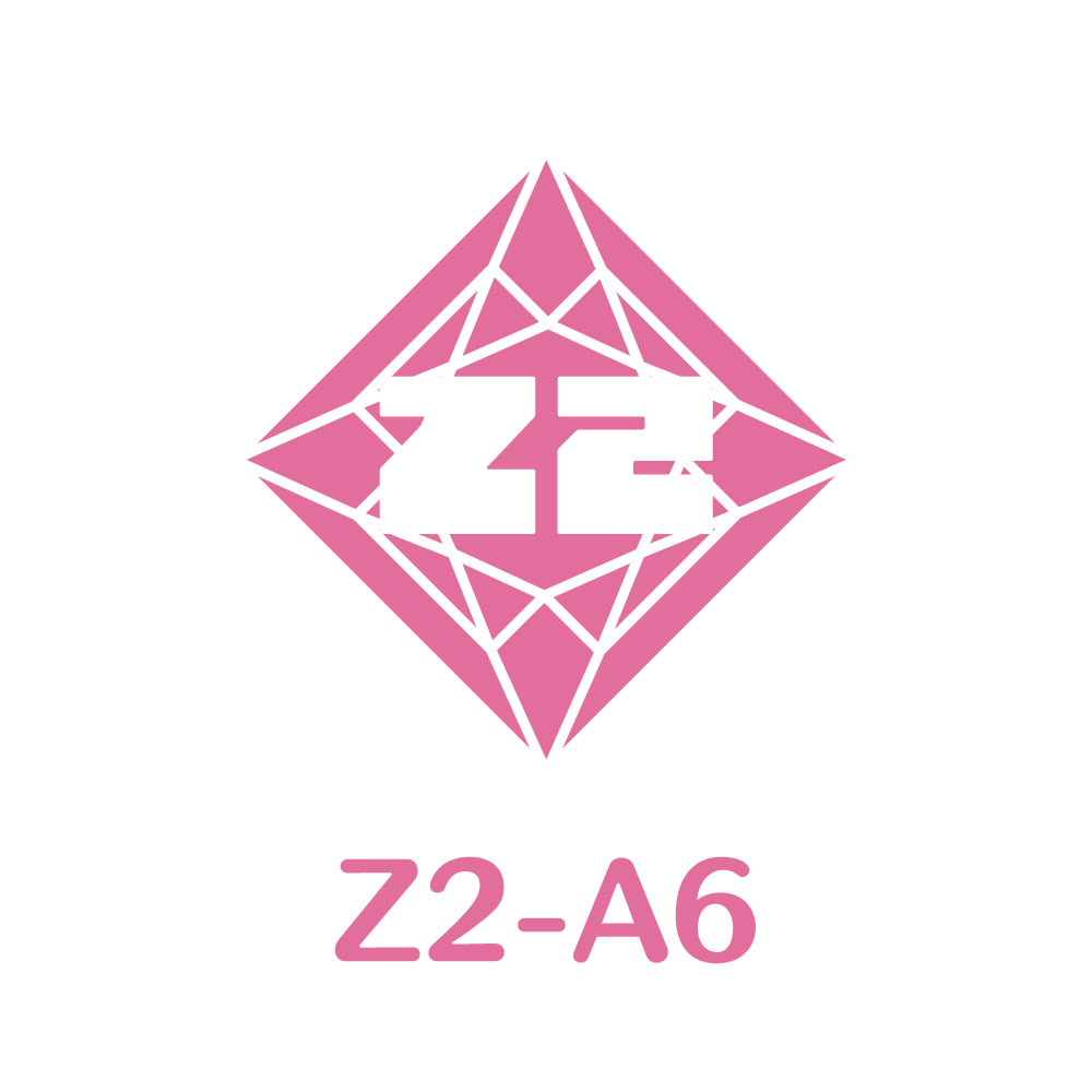 Z2-A6