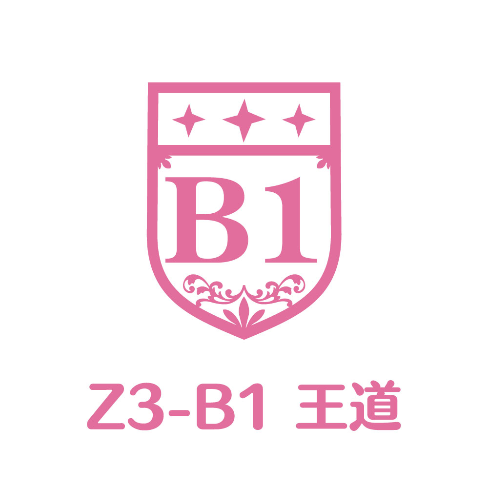 Z3-B1