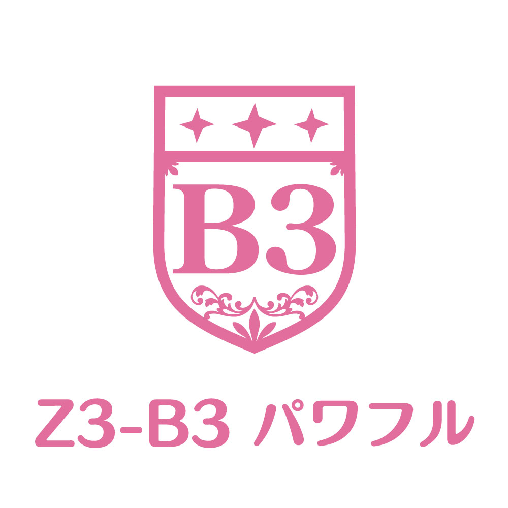 Z3-B3