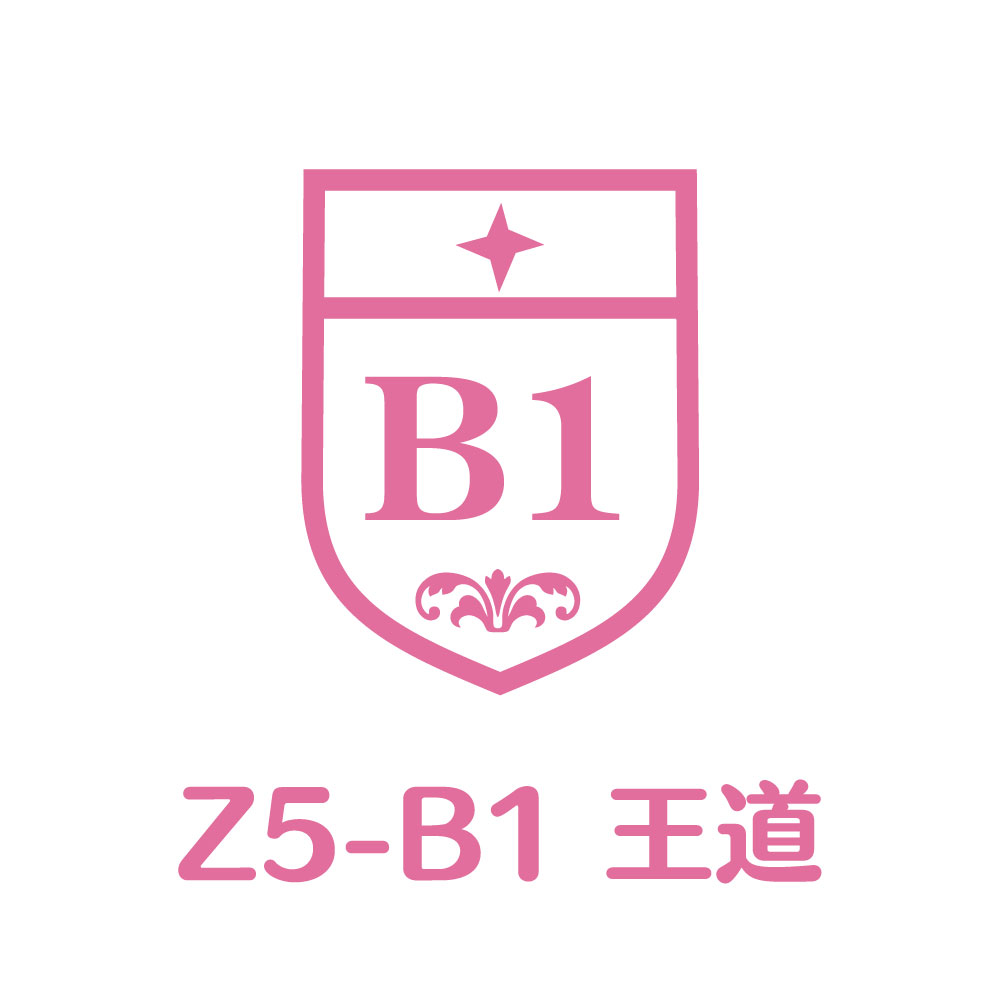 Z5-B1
