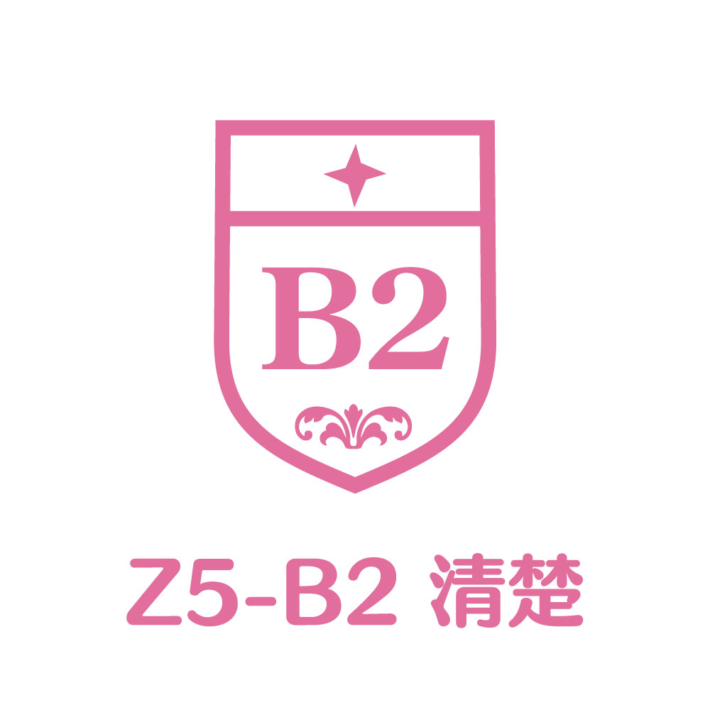 Z5-B2