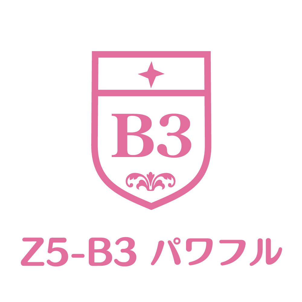 Z5-B3