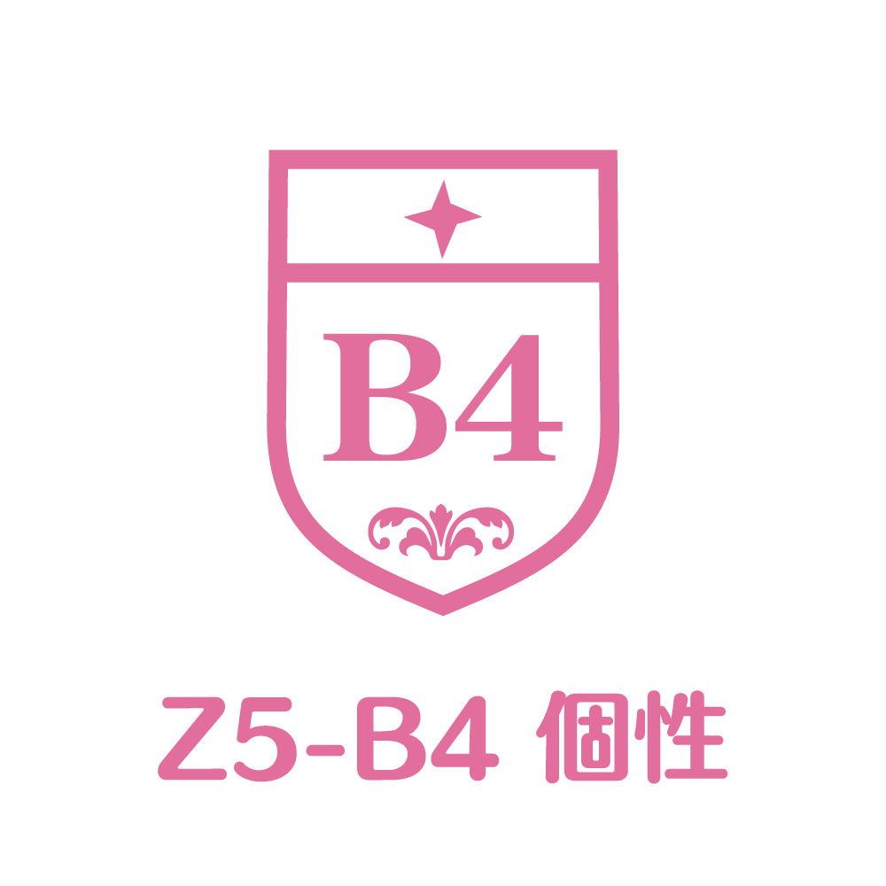 Z5-B4