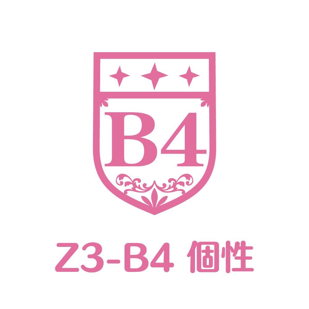Z3-B4