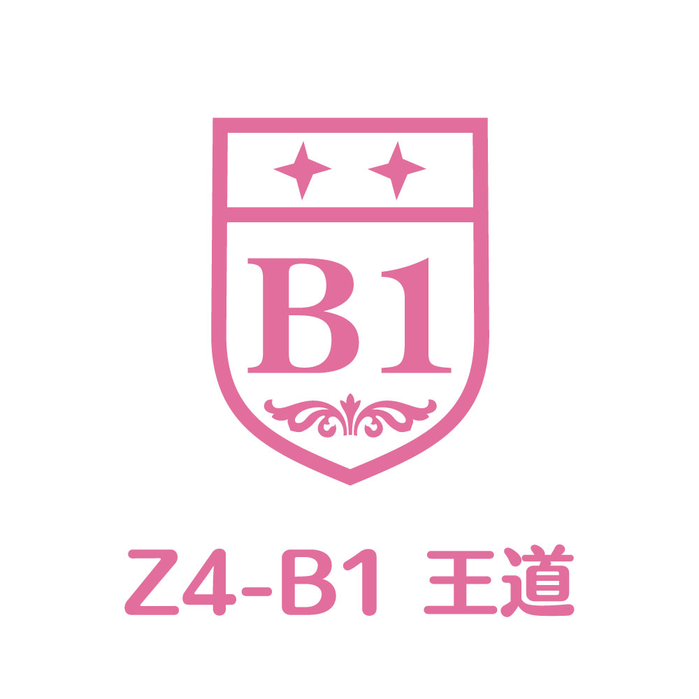 Z4-B1