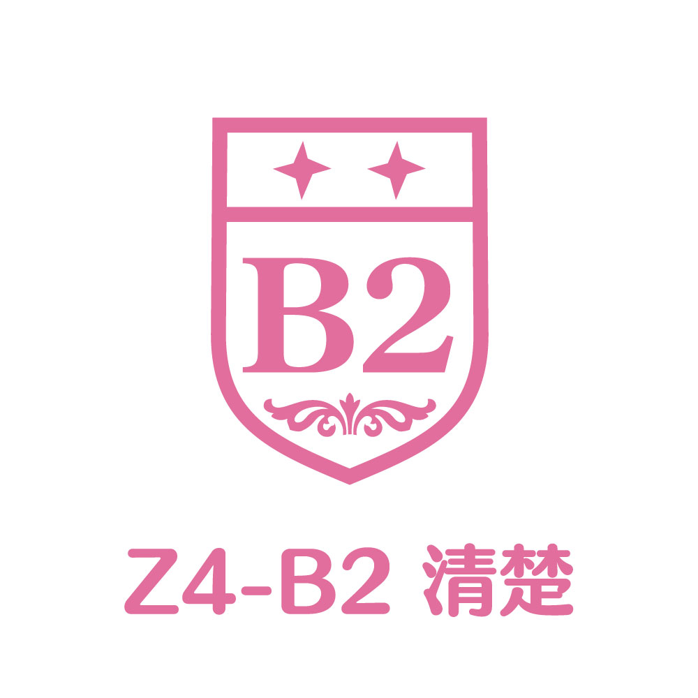 Z4-B2