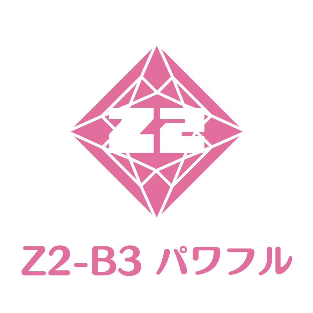 Z2-B3