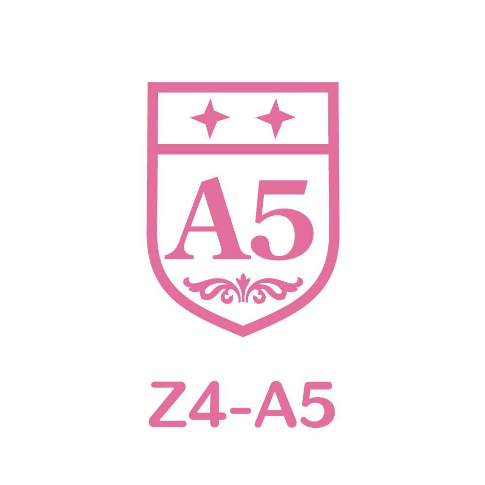 Z4-A5