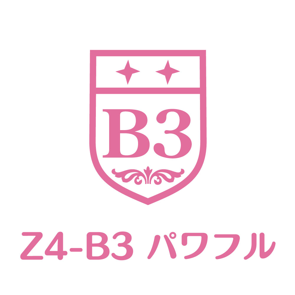 Z4-B3