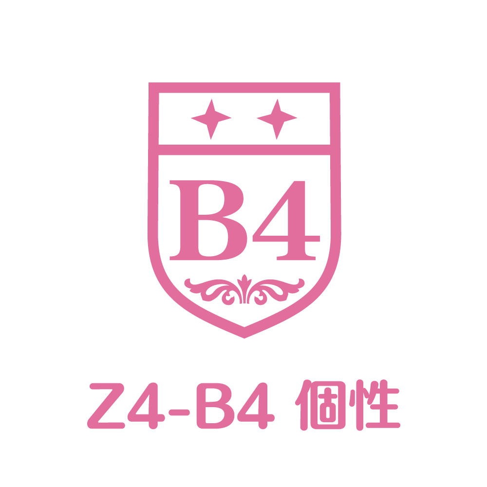 Z4-B4