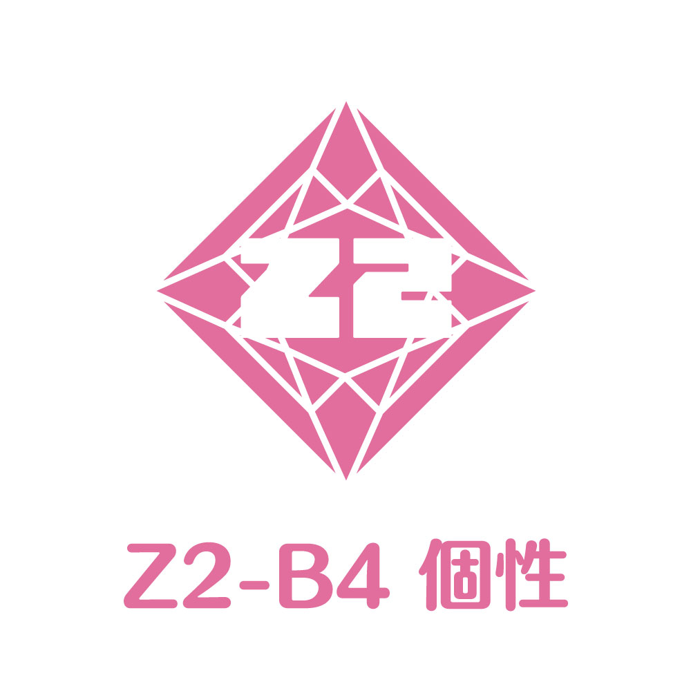 Z2-B4