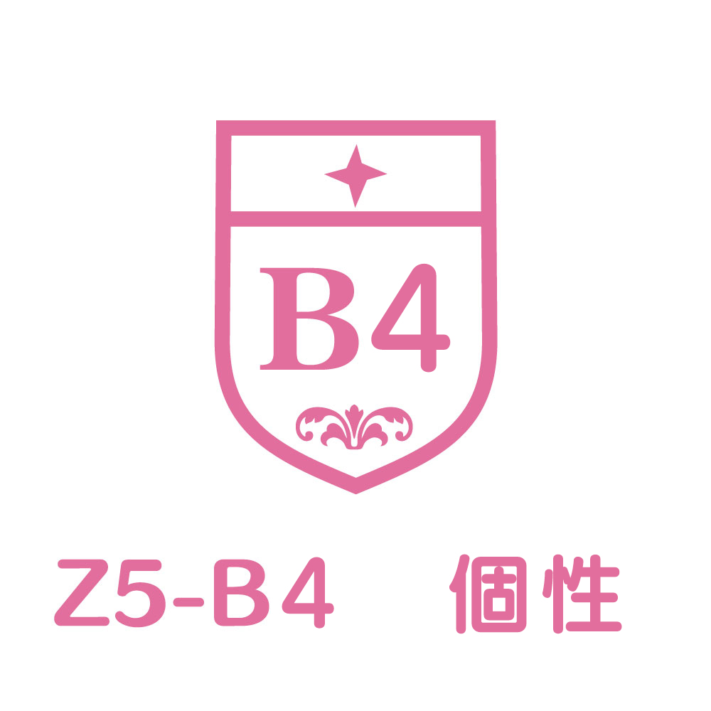 Z5-B4